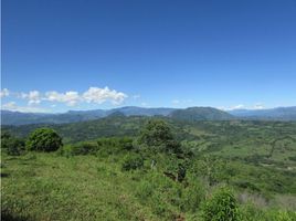  Grundstück zu verkaufen in Tamesis, Antioquia, Tamesis