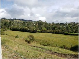  Grundstück zu verkaufen in Rionegro, Antioquia, Rionegro