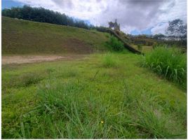  Land for sale in El Carmen De Viboral, Antioquia, El Carmen De Viboral