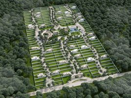 Terreno (Parcela) en venta en Progreso, Yucatán, Progreso