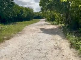  Grundstück zu verkaufen in Cancun, Quintana Roo, Cancun