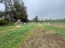  Terreno (Parcela) en venta en Chacabuco, Santiago, Colina, Chacabuco