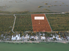  Grundstück zu verkaufen in Chicxulub Pueblo, Yucatan, Chicxulub Pueblo