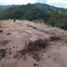  Land for sale in San Vicente, Antioquia, San Vicente