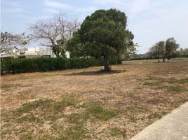  Land for sale in Bolivar, Cartagena, Bolivar