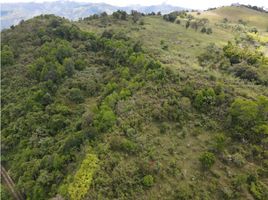  Grundstück zu verkaufen in Abejorral, Antioquia, Abejorral
