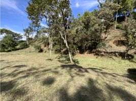  Land for sale in Marinilla, Antioquia, Marinilla