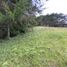  Land for sale in Marinilla, Antioquia, Marinilla