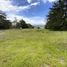  Land for sale in Marinilla, Antioquia, Marinilla