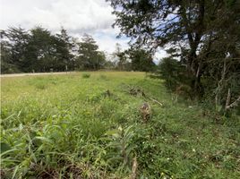  Land for sale in Marinilla, Antioquia, Marinilla