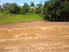  Terreno (Parcela) en venta en Manizales, Caldas, Manizales