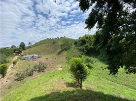  Terreno (Parcela) en venta en Manizales, Caldas, Manizales