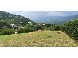  Terreno (Parcela) en venta en La Mesa, Cundinamarca, La Mesa