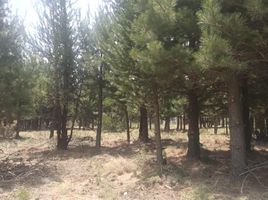  Terreno (Parcela) en venta en Rio Negro, Bariloche, Rio Negro