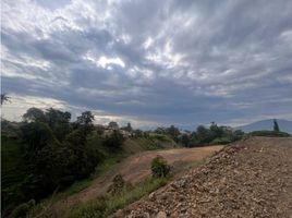  Terreno (Parcela) en venta en Pereira, Risaralda, Pereira