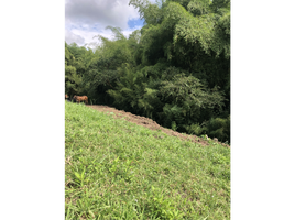  Land for sale in Pereira, Risaralda, Pereira