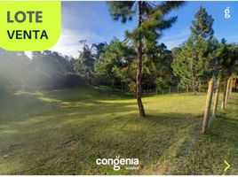  Terreno (Parcela) en venta en La Ceja, Antioquia, La Ceja