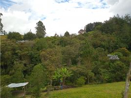  Terreno (Parcela) en venta en El Carmen De Viboral, Antioquia, El Carmen De Viboral