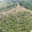  Terrain for sale in San Carlos, Antioquia, San Carlos