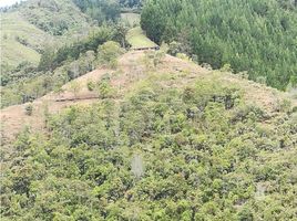  Terrain for sale in San Carlos, Antioquia, San Carlos