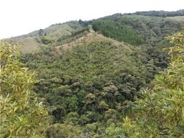  Grundstück zu verkaufen in San Carlos, Antioquia, San Carlos