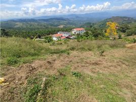 Terrain à vendre à Manizales, Caldas, Manizales, Caldas