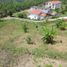 Terrain à vendre à Manizales, Caldas, Manizales, Caldas