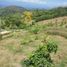 Terrain à vendre à Manizales, Caldas, Manizales, Caldas