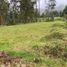  Land for sale in Octavio Cordero Palacios Sta Rosa, Cuenca, Octavio Cordero Palacios Sta Rosa