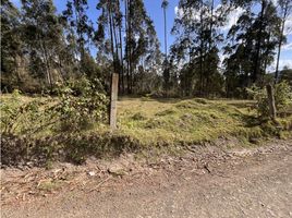  Grundstück zu verkaufen in Cuenca, Azuay, Octavio Cordero Palacios Sta Rosa