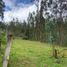  Land for sale in Octavio Cordero Palacios Sta Rosa, Cuenca, Octavio Cordero Palacios Sta Rosa