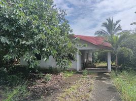 3 Habitación Casa en venta en Boquerón, Chiriquí, Tijeras, Boquerón