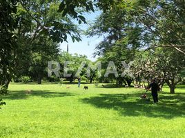  토지을(를) Dist Ocotlan, 오악 사카에서 판매합니다., Dist Ocotlan