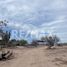  Terreno (Parcela) en venta en La Paz, Baja California Sur, La Paz, Baja California Sur