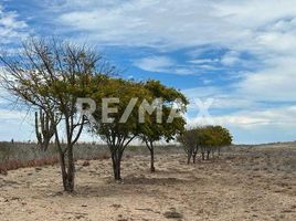  Terreno (Parcela) en venta en La Paz, Baja California Sur, La Paz, Baja California Sur