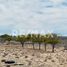 Terreno (Parcela) en venta en La Paz, Baja California Sur, La Paz, Baja California Sur
