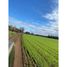  Land for sale in Mulchen, Biobío, Mulchen, Biobío, Biobío