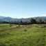  Land for sale in Santiago, Paine, Maipo, Santiago