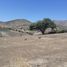  Land for sale in Santiago, Colina, Chacabuco, Santiago