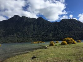  Terreno (Parcela) en venta en Puerto Montt, Llanquihue, Puerto Montt