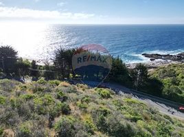  Land for sale in Valparaiso, Zapallar, Petorca, Valparaiso