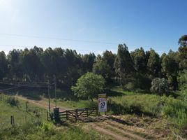  Land for sale in Colon, Entre Rios, Colon