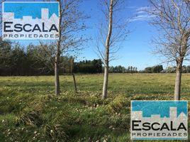  Land for sale in Santa Fe, Rosario, Santa Fe