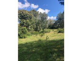  Land for sale in Rionegro, Antioquia, Rionegro