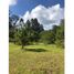  Land for sale in Rionegro, Antioquia, Rionegro