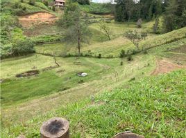  Land for sale in San Vicente, Antioquia, San Vicente