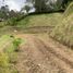  Land for sale in San Vicente, Antioquia, San Vicente