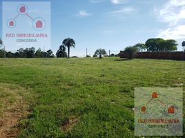  Land for sale in Concordia, Entre Rios, Concordia