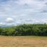  Land for sale in Pereira, Risaralda, Pereira