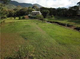  Land for sale in La Ceja, Antioquia, La Ceja